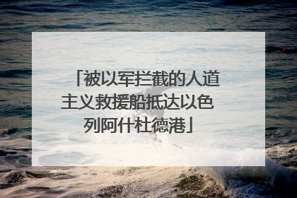 被以军拦截的人道主义救援船抵达以色列阿什杜德港