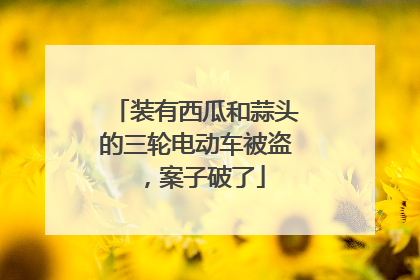 装有西瓜和蒜头的三轮电动车被盗，案子破了