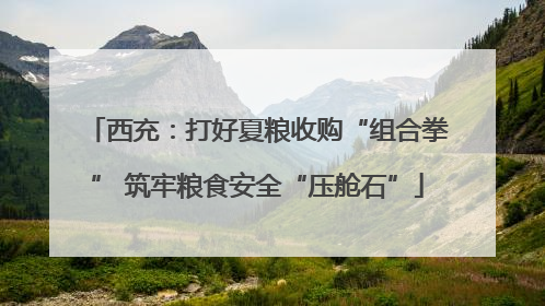 西充：打好夏粮收购“组合拳” 筑牢粮食安全“压舱石”