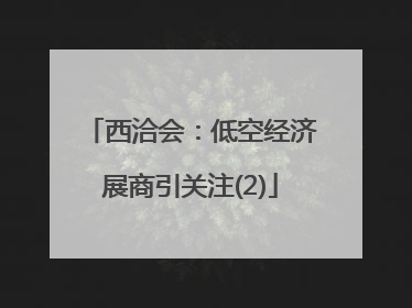 西洽会：低空经济展商引关注(2)