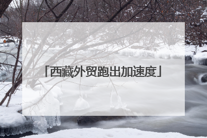 西藏外贸跑出加速度
