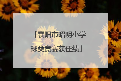 襄阳市昭明小学球类竞赛获佳绩