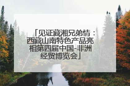 见证藏湘兄弟情：西藏山南特色产品亮相第四届中国-非洲经贸博览会
