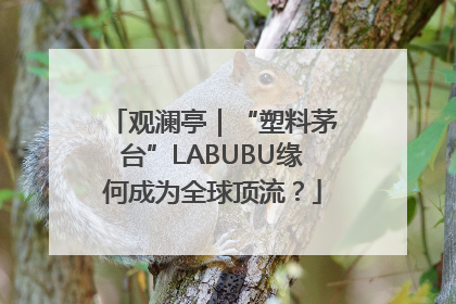 观澜亭｜“塑料茅台”LABUBU缘何成为全球顶流？