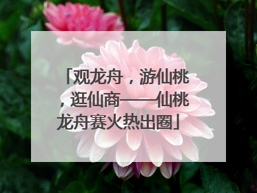 观龙舟，游仙桃，逛仙商——仙桃龙舟赛火热出圈