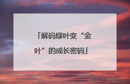 解码绿叶变“金叶”的成长密码