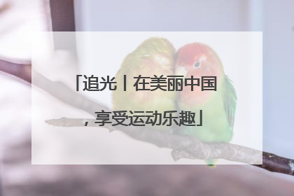 追光丨在美丽中国，享受运动乐趣
