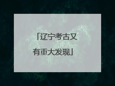 辽宁考古又有重大发现