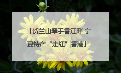 贺兰山牵手香江畔 宁夏特产“走红”香港