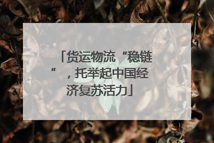 货运物流“稳链”，托举起中国经济复苏活力