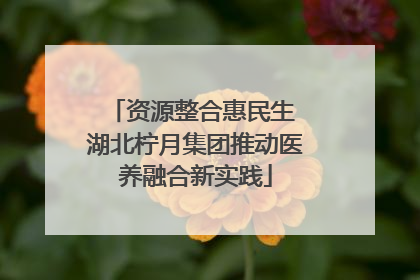 资源整合惠民生 湖北柠月集团推动医养融合新实践