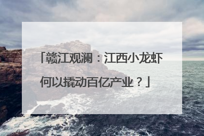 赣江观澜：江西小龙虾何以撬动百亿产业？