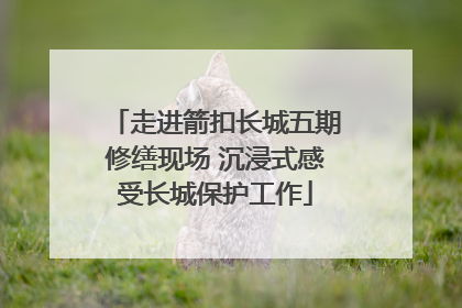 走进箭扣长城五期修缮现场 沉浸式感受长城保护工作
