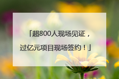 超800人现场见证，过亿元项目现场签约！