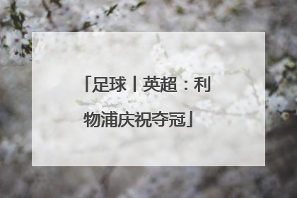 足球丨英超：利物浦庆祝夺冠