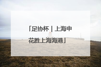 足协杯｜上海申花胜上海海港