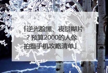 逆光脸黑、夜景糊片？预算2000的人像拍摄手机攻略清单
