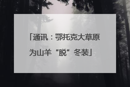 通讯：鄂托克大草原为山羊“脱”冬装