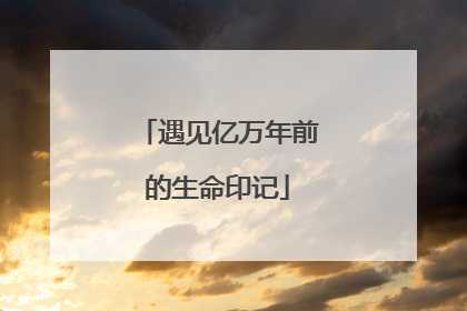 遇见亿万年前的生命印记