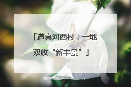 道真河西村：一地双收“新丰景”