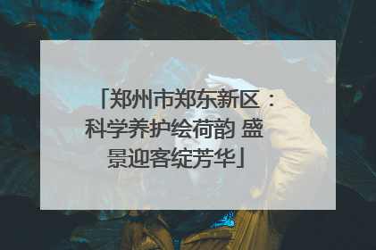 郑州市郑东新区：科学养护绘荷韵 盛景迎客绽芳华