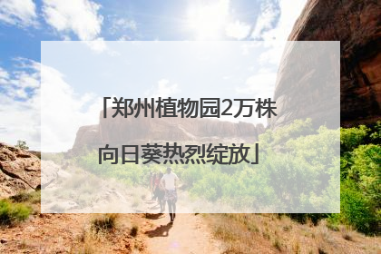 郑州植物园2万株向日葵热烈绽放