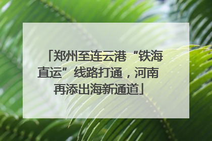 郑州至连云港“铁海直运”线路打通，河南再添出海新通道