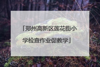 郑州高新区莲花街小学检查作业促教学