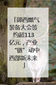 郧西燃气装备大会签约超113亿元，产业“链”动中西部新未来