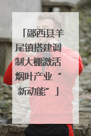 郧西县羊尾镇搭建调制大棚激活烟叶产业“新动能”