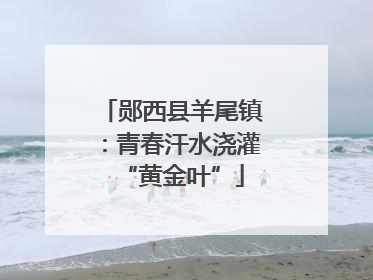 郧西县羊尾镇：青春汗水浇灌“黄金叶”