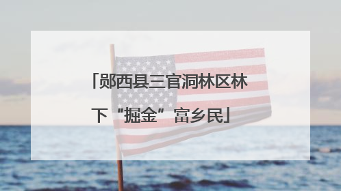 郧西县三官洞林区林下“掘金”富乡民