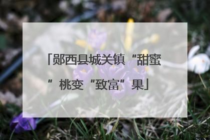 郧西县城关镇“甜蜜”桃变“致富”果