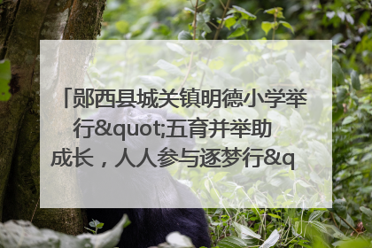 郧西县城关镇明德小学举行"五育并举助成长，人人参与逐梦行"庆六一活动