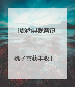郧西县观音镇桃子喜获丰收
