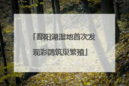 鄱阳湖湿地首次发现彩鹮筑巢繁殖