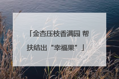 金杏压枝香满园 帮扶结出“幸福果”