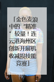 金色麦浪中的“精准”较量！连云港海州区创新开展机收减损技能竞赛