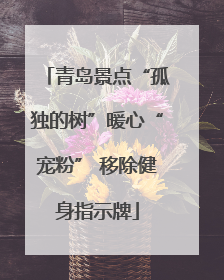 青岛景点“孤独的树”暖心“宠粉” 移除健身指示牌