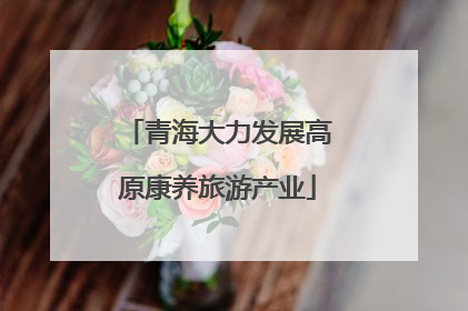 青海大力发展高原康养旅游产业