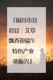 铜川市宜君县：艾草飘香迎端午 特色产业助振兴