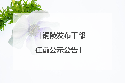 铜陵发布干部任前公示公告