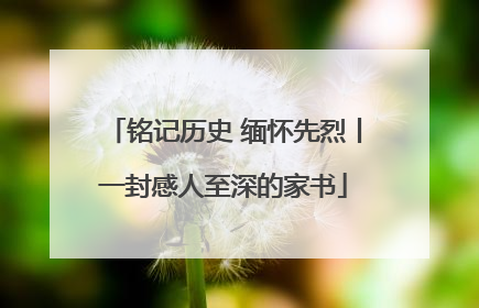 铭记历史 缅怀先烈丨一封感人至深的家书
