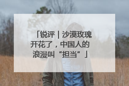 锐评｜沙漠玫瑰开花了，中国人的浪漫叫“担当”