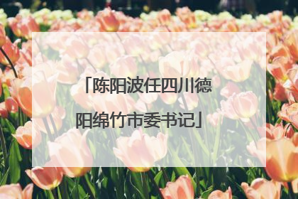 陈阳波任四川德阳绵竹市委书记