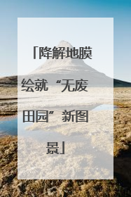降解地膜绘就“无废田园”新图景