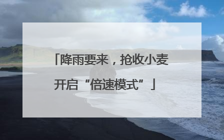 降雨要来，抢收小麦开启“倍速模式”