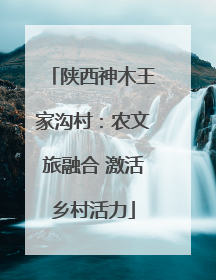 陕西神木王家沟村：农文旅融合 激活乡村活力
