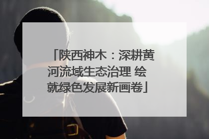 陕西神木：深耕黄河流域生态治理 绘就绿色发展新画卷