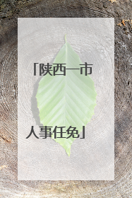 陕西一市人事任免